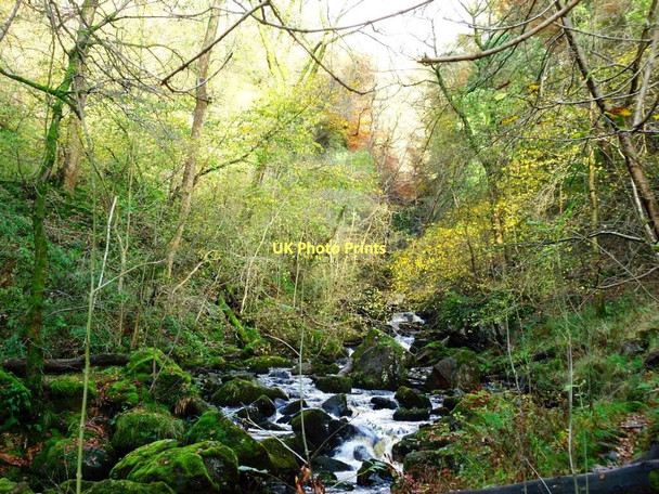 Photo 6"x4" Campsie Glen, Kirk Burn [3] Clachan of Campsie c2011