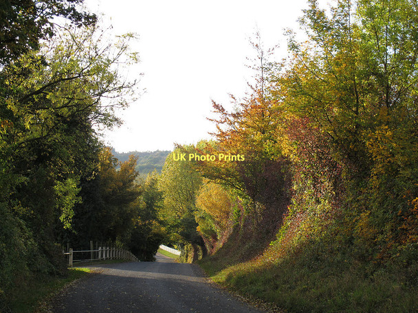 Photo 6"x4" A country lane in Kent Perrywood c2011