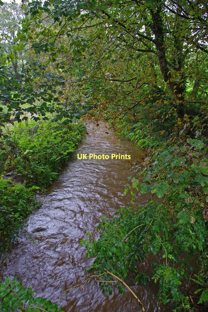 Photo 6"x4" Ardcloony River, looking north from the Garraunboy to Kilbane road Kilbane c2011