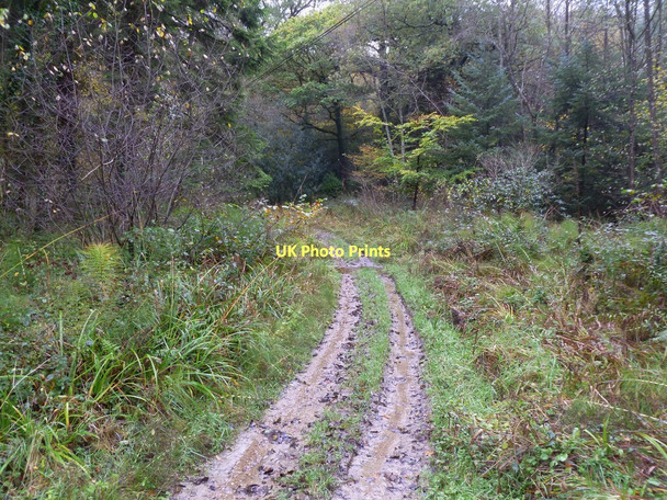 Photo 6"x4" Maiden Bradley, ford Gare Hill c2011