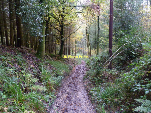 Photo 6"x4" Gare Hill, hillside Gare Hill c2011