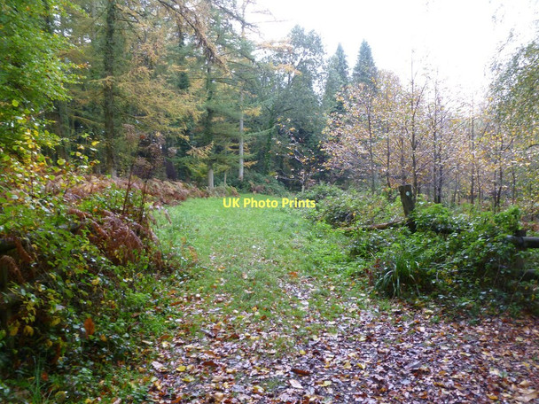 Photo 6"x4" Horningsham, permissive footpath Gare Hill c2011