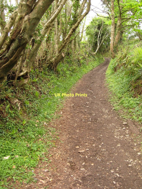 Photo 6"x4" The coast path at Millendreath Looe c2011