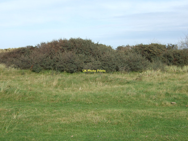 Photo 6"x4" Scrub south of Hightown Hightown\/SD2903 c2011