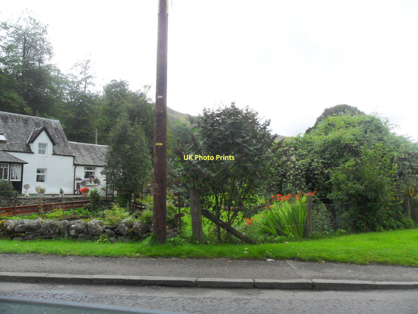 Photo 6"x4" Cottage garden, Finlarig Monemore c2011