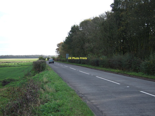 Photo 6"x4" Moss Lane (B5193) Lady Green\/SD3103 c2011