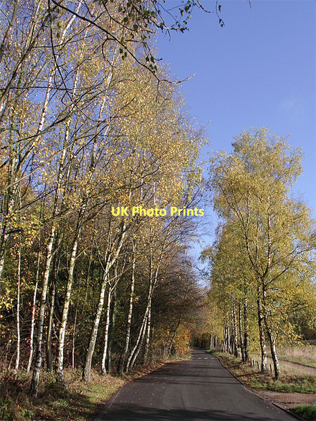 Photo 6"x4" The Road to Gospel End near Sedgley Sedgley c2011