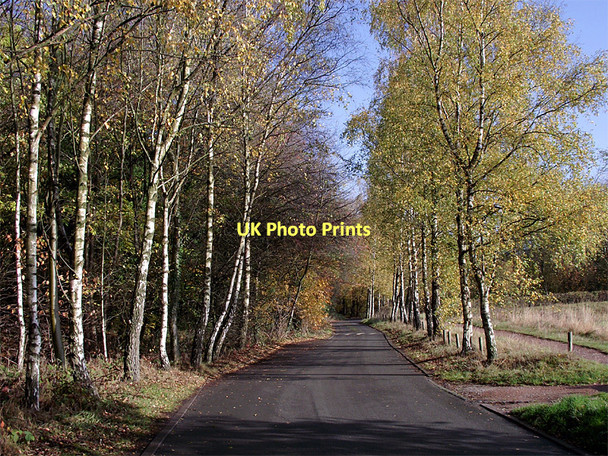 Photo 6"x4" The Road to Gospel End near Sedgley Sedgley c2011 P1