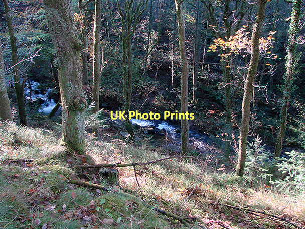 Photo 6"x4" Looking down to Afon Cwmere Bont-goch or Elerch c2011