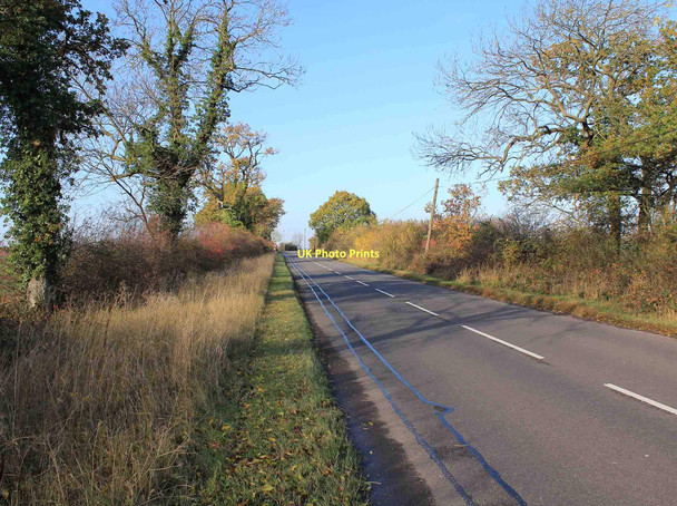 Photo 6"x4" Welsh Road near Woodmeadow Farm Bascote c2011