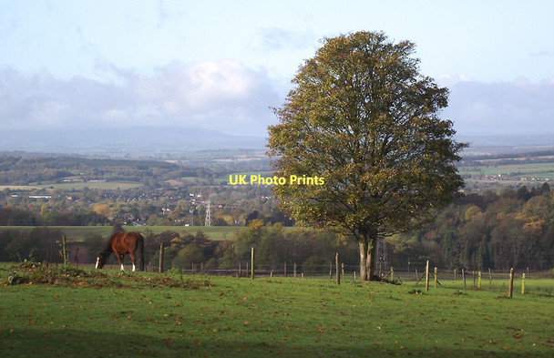 Photo 6"x4" Pasture and woodland near Gospel End, Staffordshire Sedgley c2011