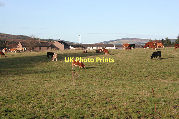 Photo 6"x4" Craigellachie from Drumfurrich Craigellachie\/NJ2844 c2011