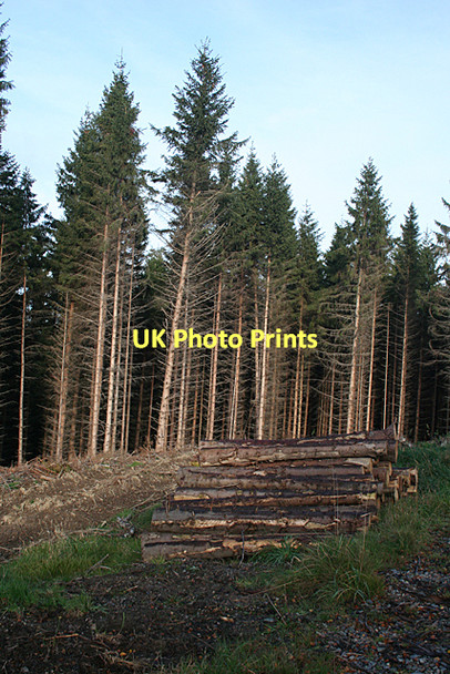 Photo 6"x4" Forest Operations Craigellachie\/NJ2844 c2011