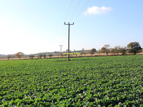 Photo 6"x4" Power lines cross the footpath Cubbington c2011