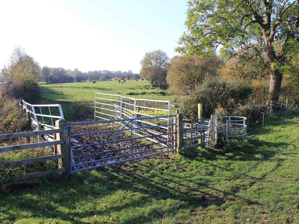 Photo 6"x4" Kissing gate on footpath to Cubbington Hunningham c2011