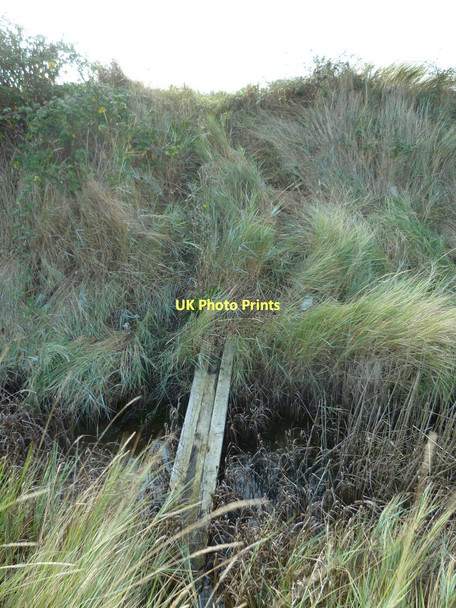 Photo 6"x4" My exit from field to foreshore Chidham c2011