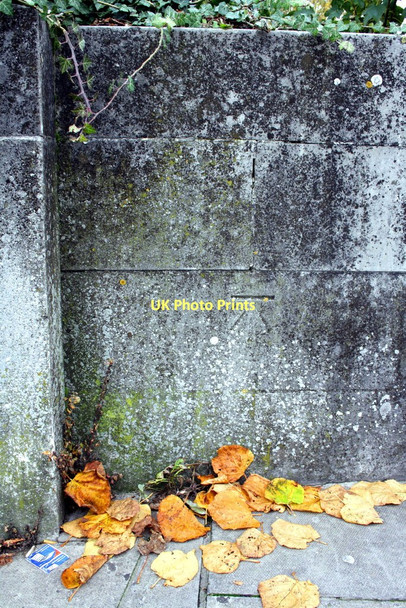 Photo 6"x4" Benchmark on Fisherton Bridge Salisbury c2011
