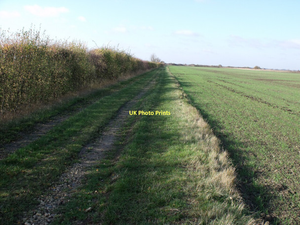 Photo 6"x4" Track off Broach Road with crop field Brant Broughton c2011