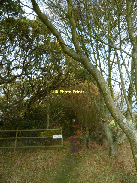 Photo 6"x4" Private footpath near Cobnor Point Chidham c2011