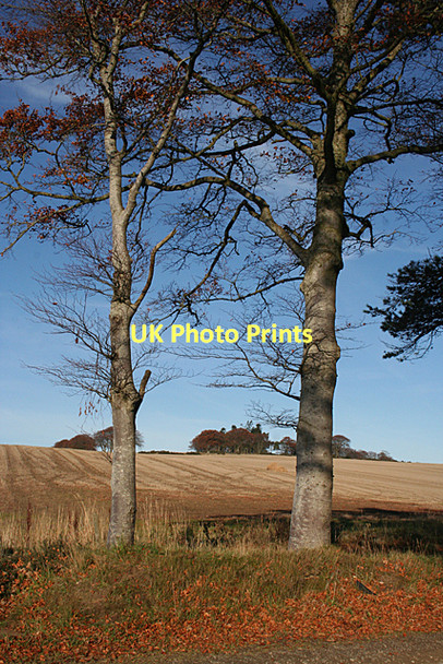 Photo 6"x4" Auldtown Hill Bogton\/NJ6751 c2011