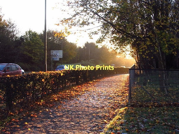 Photo 6"x4" Alderstone Path Livingston c2011