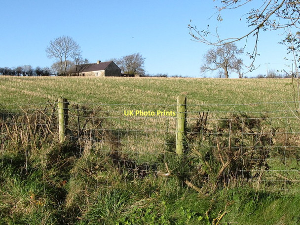 Photo 6"x4" Derelict cottage above Lisnamulligan Bridge Hilltown\/J2128 c2011