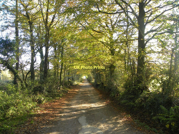 Photo 6"x4" Miss Graces Lane Park Hill\/ST5699 c2011