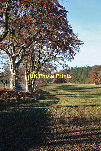 Photo 6"x4" Beside the B9025 Crossbrae\/NJ6952 c2011