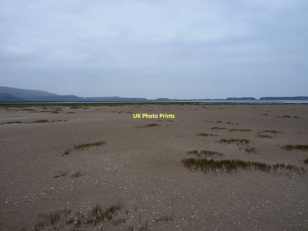 Photo 6"x4" Westwards on Llanrhidian Marsh Landimore c2011