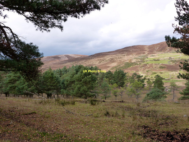 Photo 6"x4" Moorland above the old settlement of Achue Spinningdale c2011
