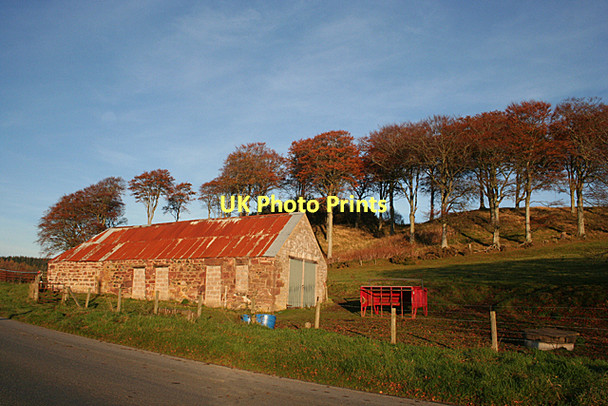 Photo 6"x4" Red Shed Turriff c2011