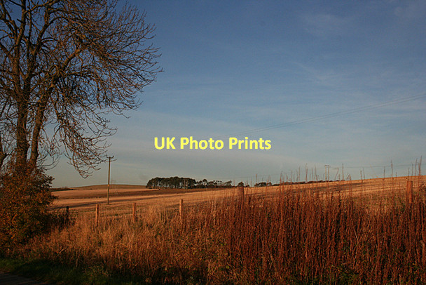 Photo 6"x4" Sunset Light Pole of Itla c2011