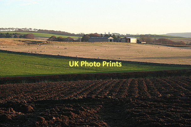 Photo 6"x4" Hillhead of Eden Keilhill c2011