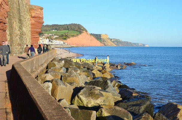 Photo 6"x4" Sidmouth: Undercliff Promenade Sidmouth c2011