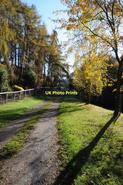 Photo 6"x4" Drive to Eastham Park Eastham\/SO6568 c2011