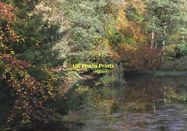 Photo 6"x4" Autumn poolside colours in Baggereidge Country Park, Sedgley Sedgley c2011