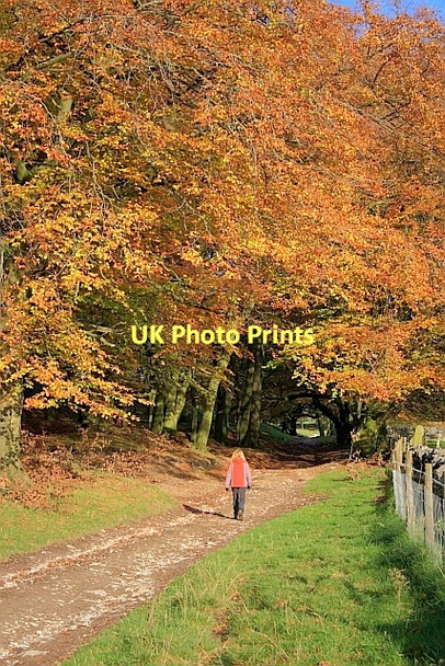 Photo 6"x4" Oxlow Rake Old Dam c2011
