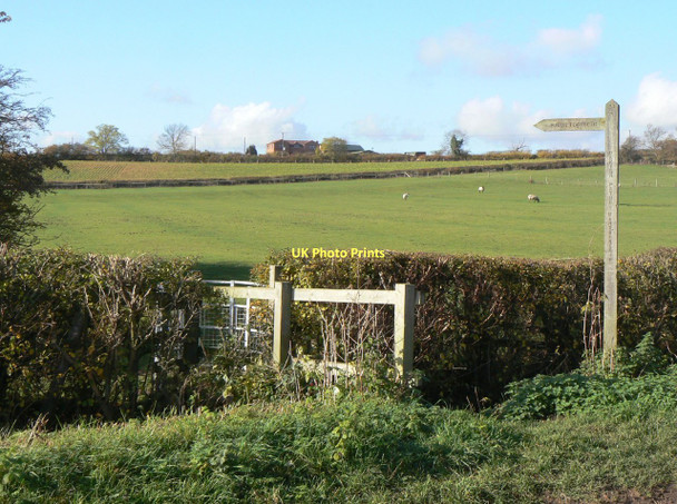 Photo 6"x4" Footpath to Keyworth Meadow Keyworth c2011
