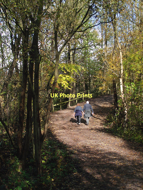 Photo 6"x4" Pathway in Baggeridge Country Park near Sedgley Sedgley c2011