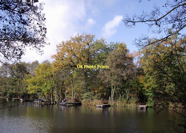 Photo 6"x4" Angling jetties in Baggeridge Country Park near Wombourne Sedgley c2011