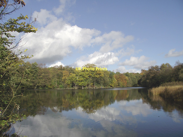 Photo 6"x4" Island Pool in Baggeridge Country Park near Wombourne, Staffordshire The Straits\/SO9092 c2011 P1
