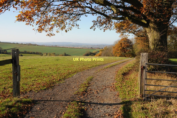 Photo 6"x4" Farmland above the Teme Valley Hanley William c2011