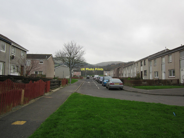 Photo 6"x4" Willow Drive Girvan c2011