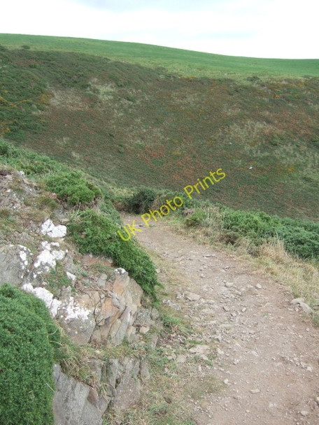Photo 6"x4" Coast path and valley above Cwm Bach Newgale c2009