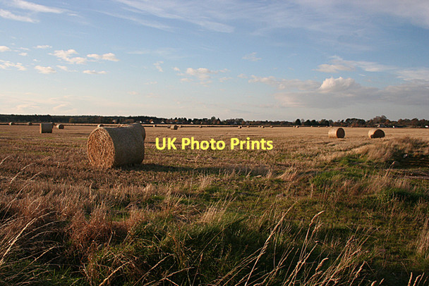 Photo 6"x4" Findhorn Floodplain Forres c2011