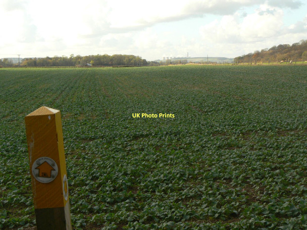 Photo 6"x4" Footpath to Bunny Keyworth c2011
