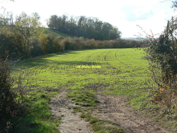Photo 6"x4" The end of Debdale Lane Plumtree Park c2011