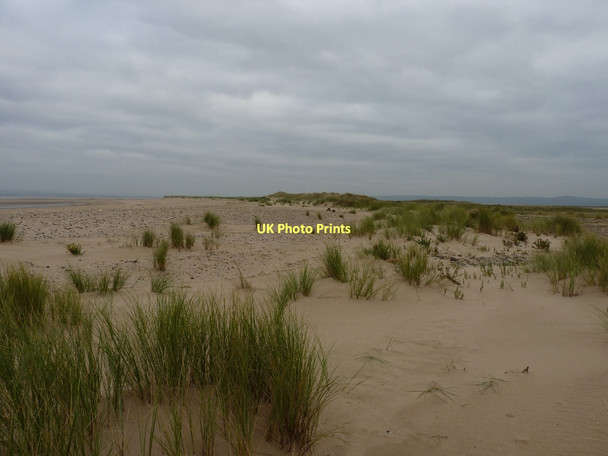 Photo 6"x4" Along the dune edge at Whiteford Point Cheriton\/SS4593 c2011