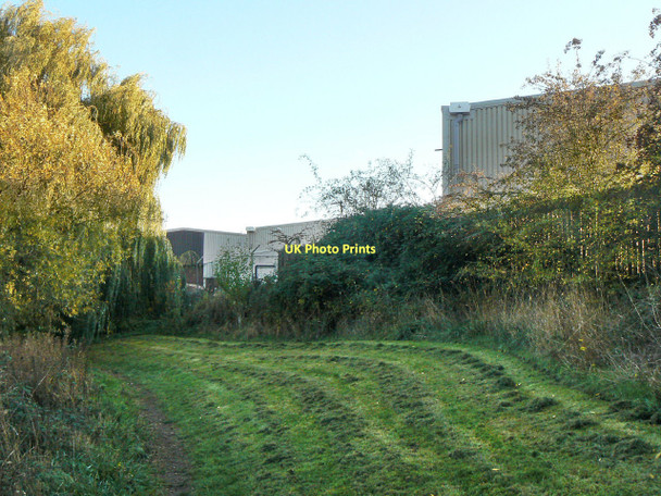Photo 6"x4" Footpath at the back of the Geological Survey Plumtree Park c2011