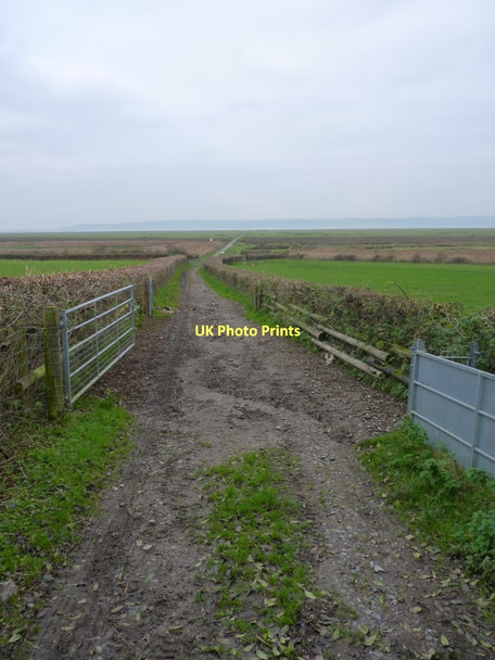 Photo 6"x4" Landward end of the causeway Leason c2011